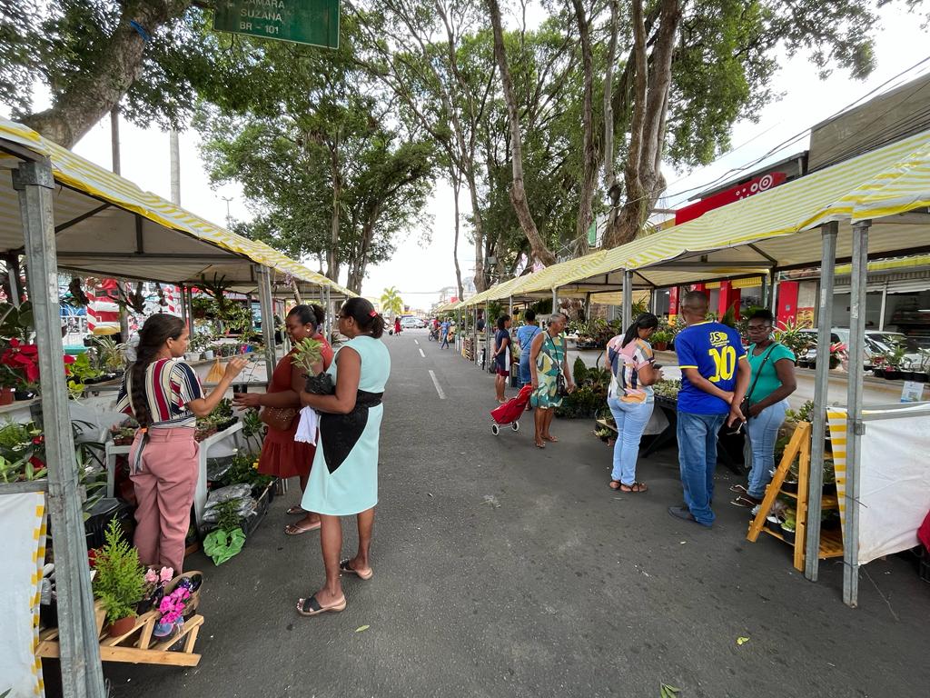  Feira de Flores e Plantas acontece na Praça Senador Temístocles até sábado (9)